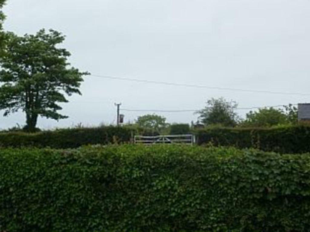 Villa The Old Shop Llandyfrydog Exterior foto